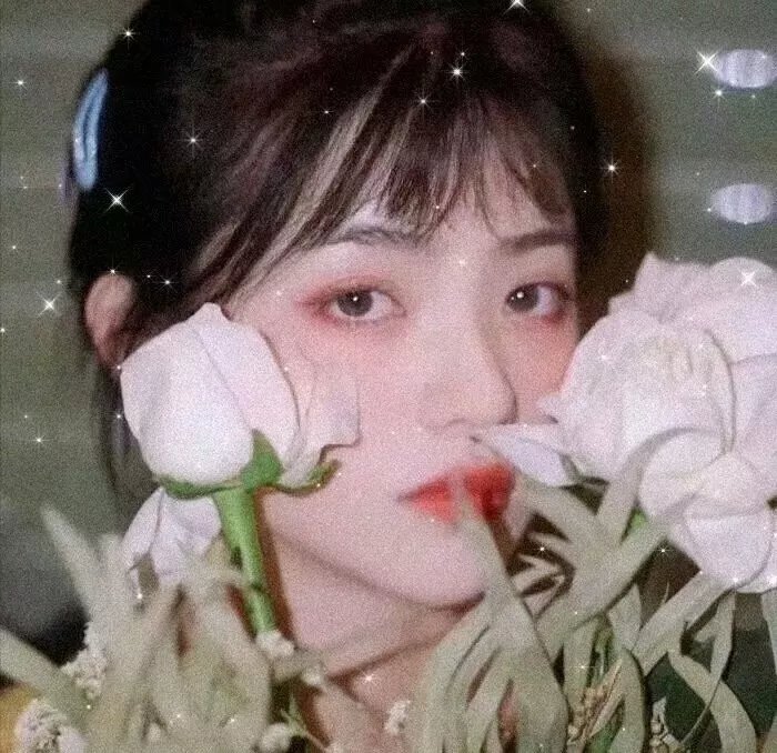 黑楼惊魂